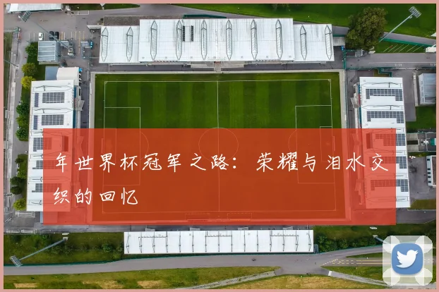 年世界杯冠军之路：荣耀与泪水交织的回忆
