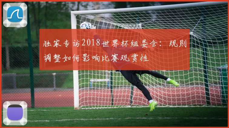独家专访2018世界杯组委会：规则调整如何影响比赛观赏性