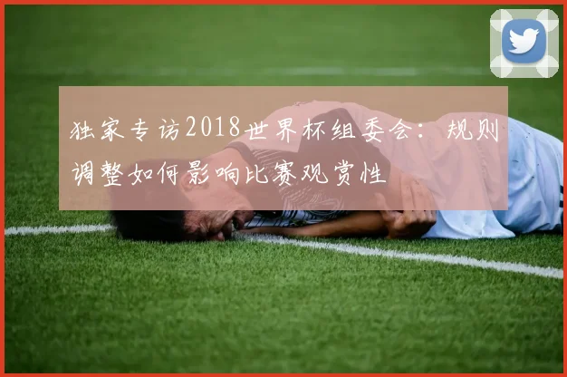 独家专访2018世界杯组委会：规则调整如何影响比赛观赏性